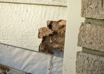 Top Signs You Need Siding Repair and How to Address Them