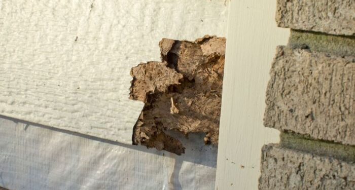 Top Signs You Need Siding Repair and How to Address Them